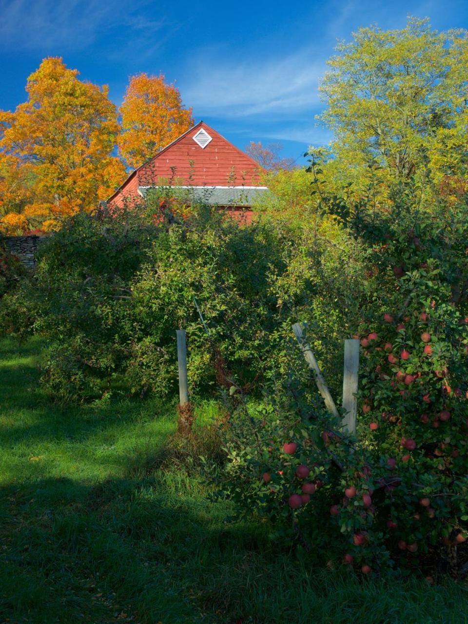Danskammer House Bed & Breakfast Marlboro Exterior foto